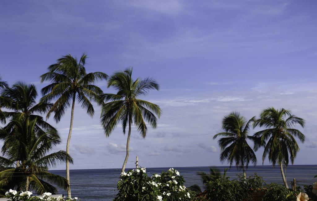 Ananda Home Stay And Restaurant Tangalle Zewnętrze zdjęcie