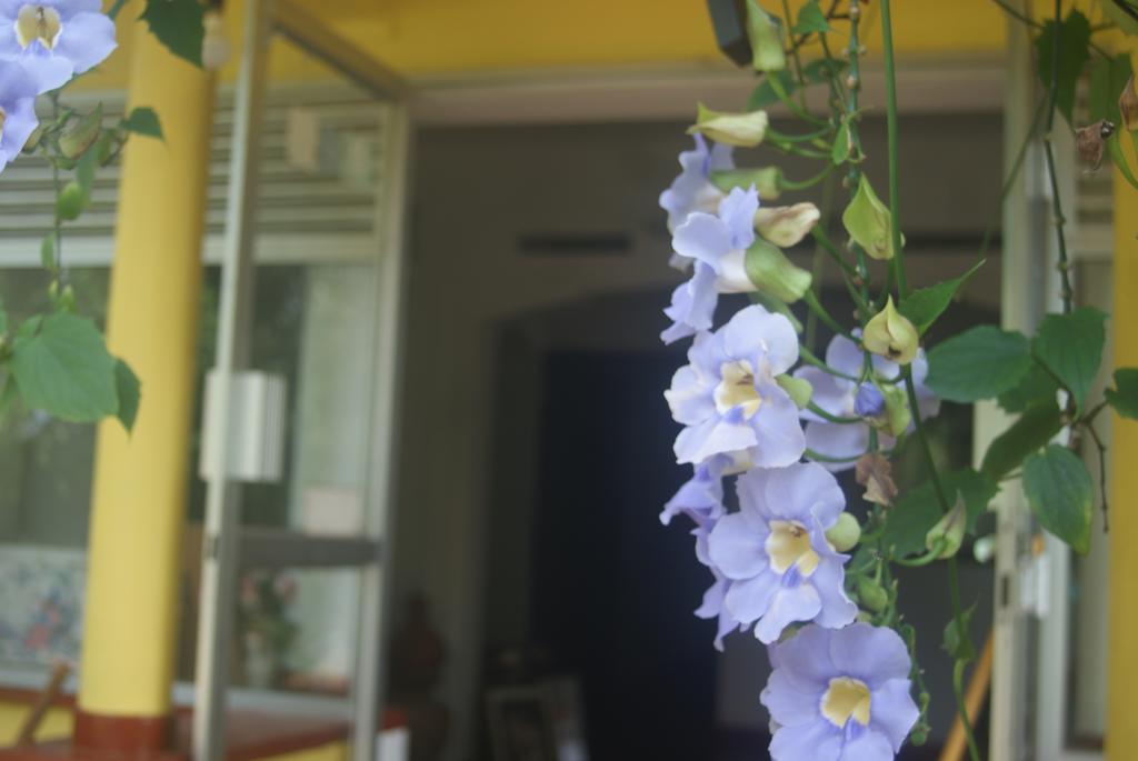 Ananda Home Stay And Restaurant Tangalle Zewnętrze zdjęcie