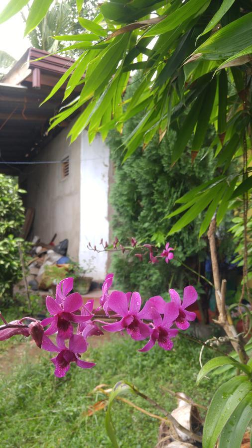 Ananda Home Stay And Restaurant Tangalle Zewnętrze zdjęcie