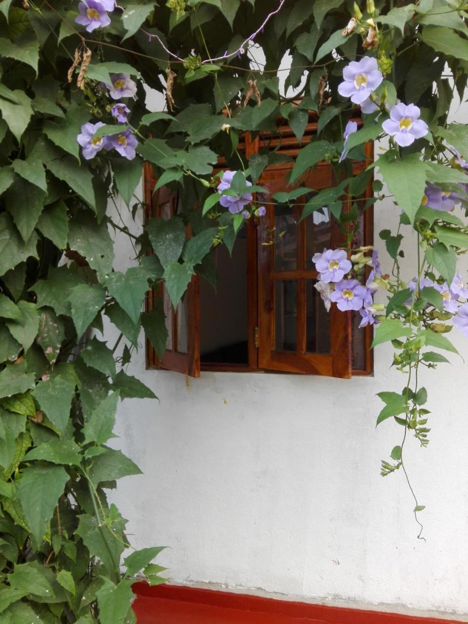 Ananda Home Stay And Restaurant Tangalle Zewnętrze zdjęcie